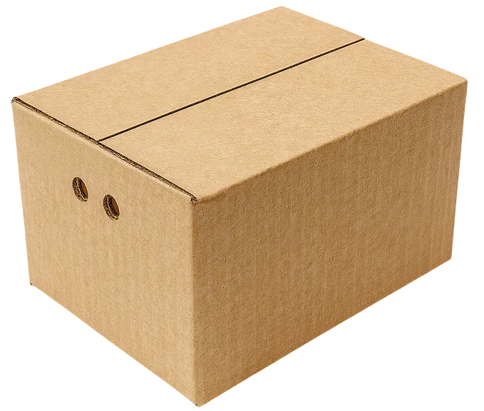 caja americana render 1