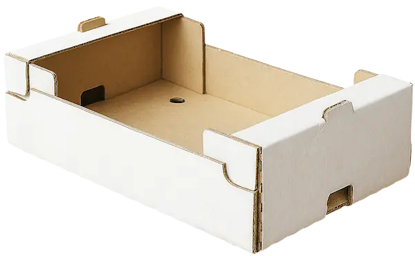 ChatGPT Image 27 oct 2025 01 21 00 p.m. 1 1