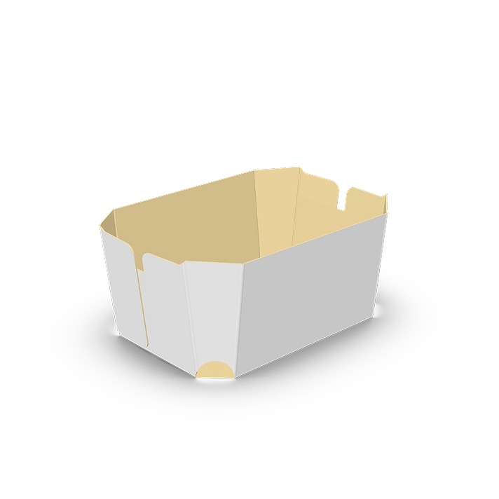 barquetas abiertas 1