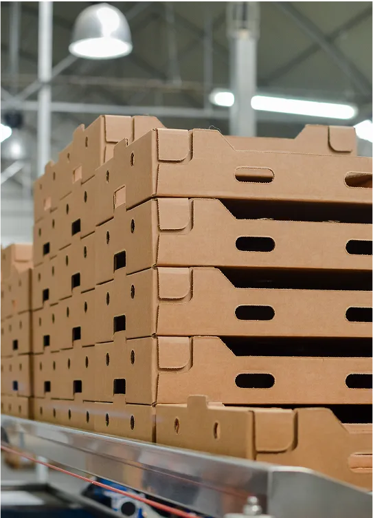 soluciones-agricolas-box