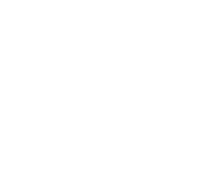 plv logo