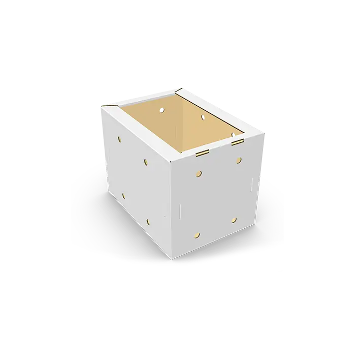 box con tubos presion vertical