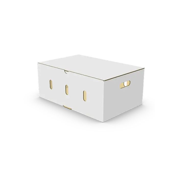 caja con tapa ecommerce