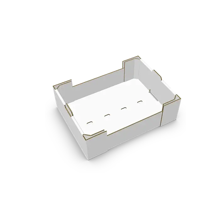 doble testeto plato 84