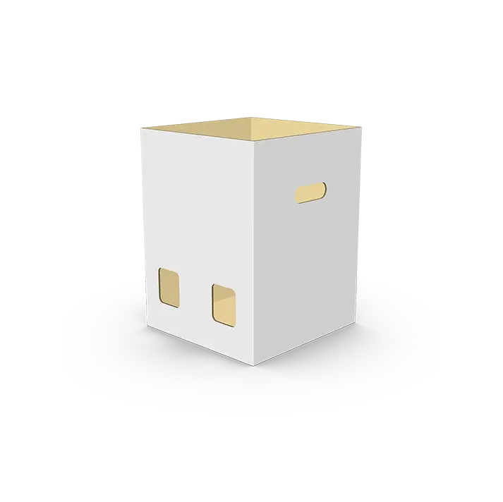 fondo frances estuche pina